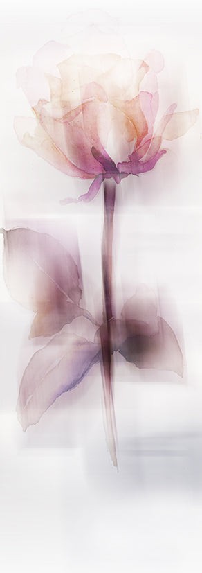 Wandbild klein aber fein "La Rose"