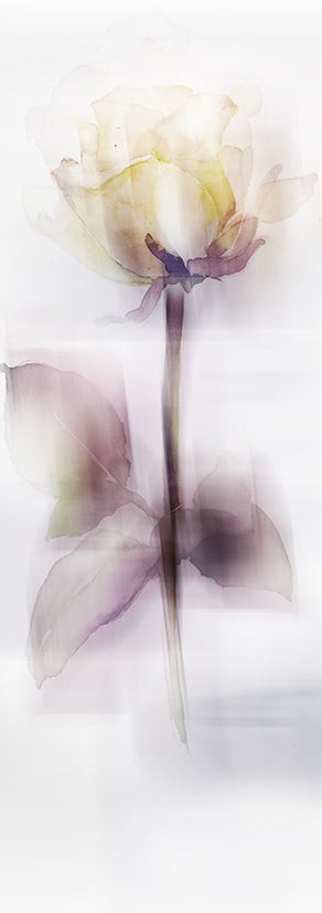 Wandbild klein aber fein "La Rose"