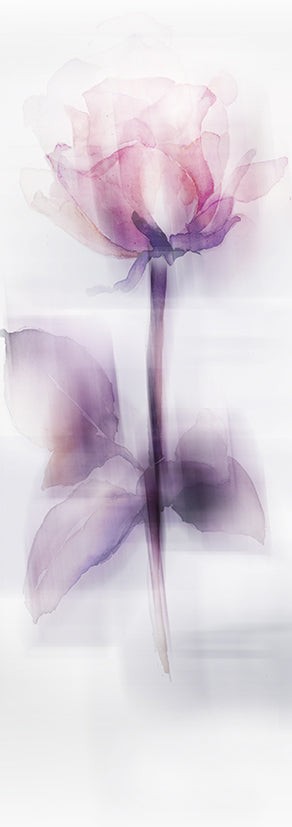 Wandbild klein aber fein "La Rose"