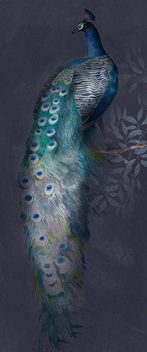 Wandbild klein aber fein "Pfau"