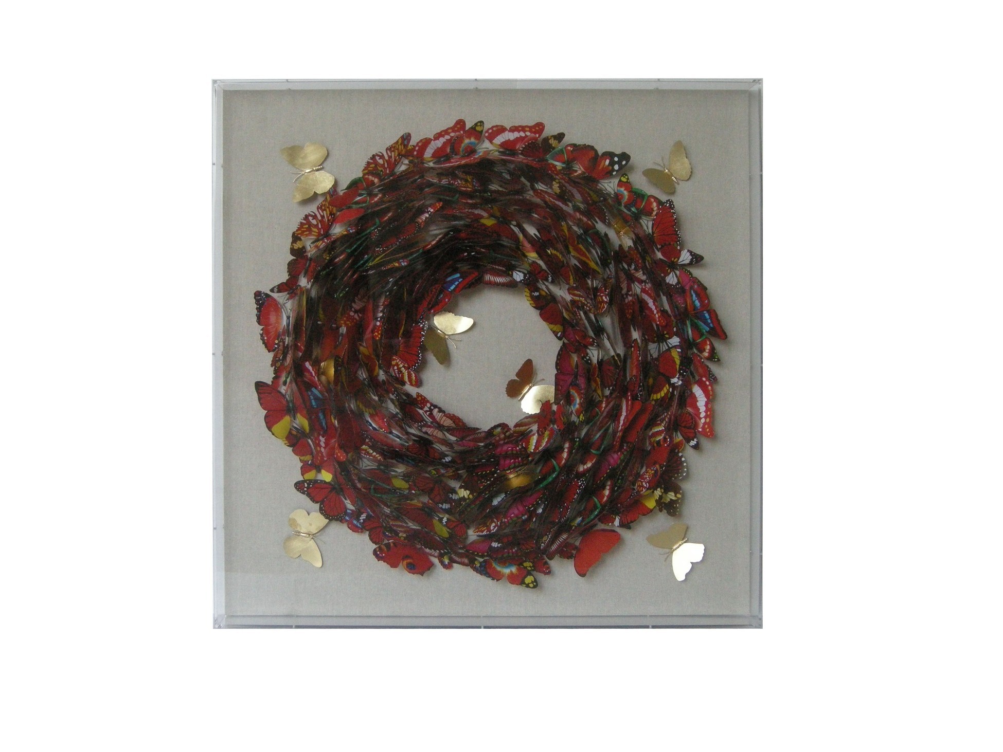 Papier Wandbild Schmetterling 80cm x 80cm image