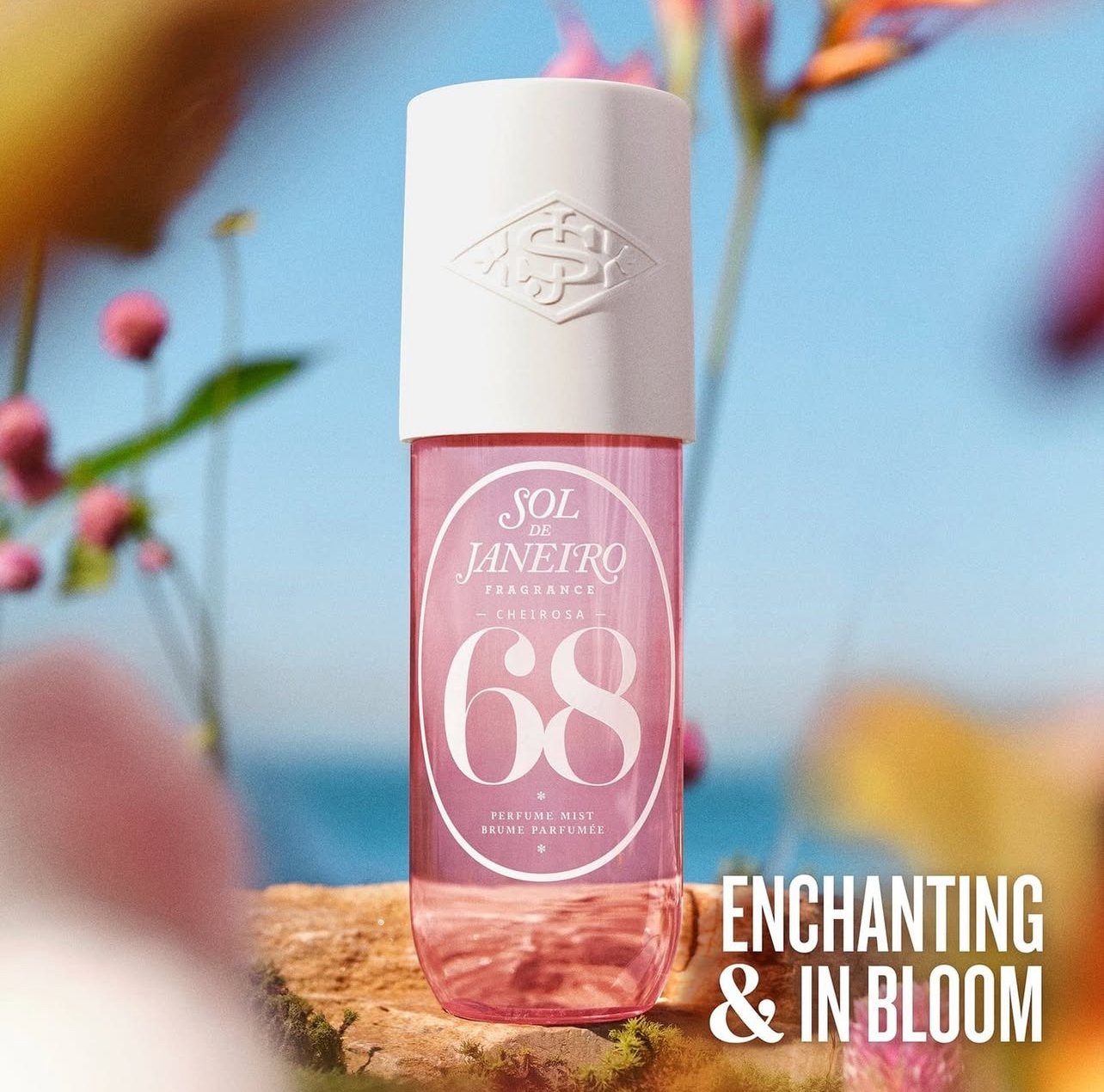 SOL DE JANERIO CHEIROSA 68
