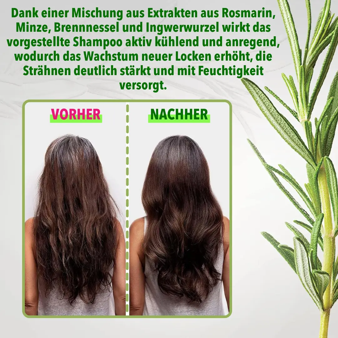 Rosmarin- & Minz-Kopfhautpeeling – Mit Kopfhautmassagegerät, Gegen Schuppen & Für Gesundes Haarwachstum