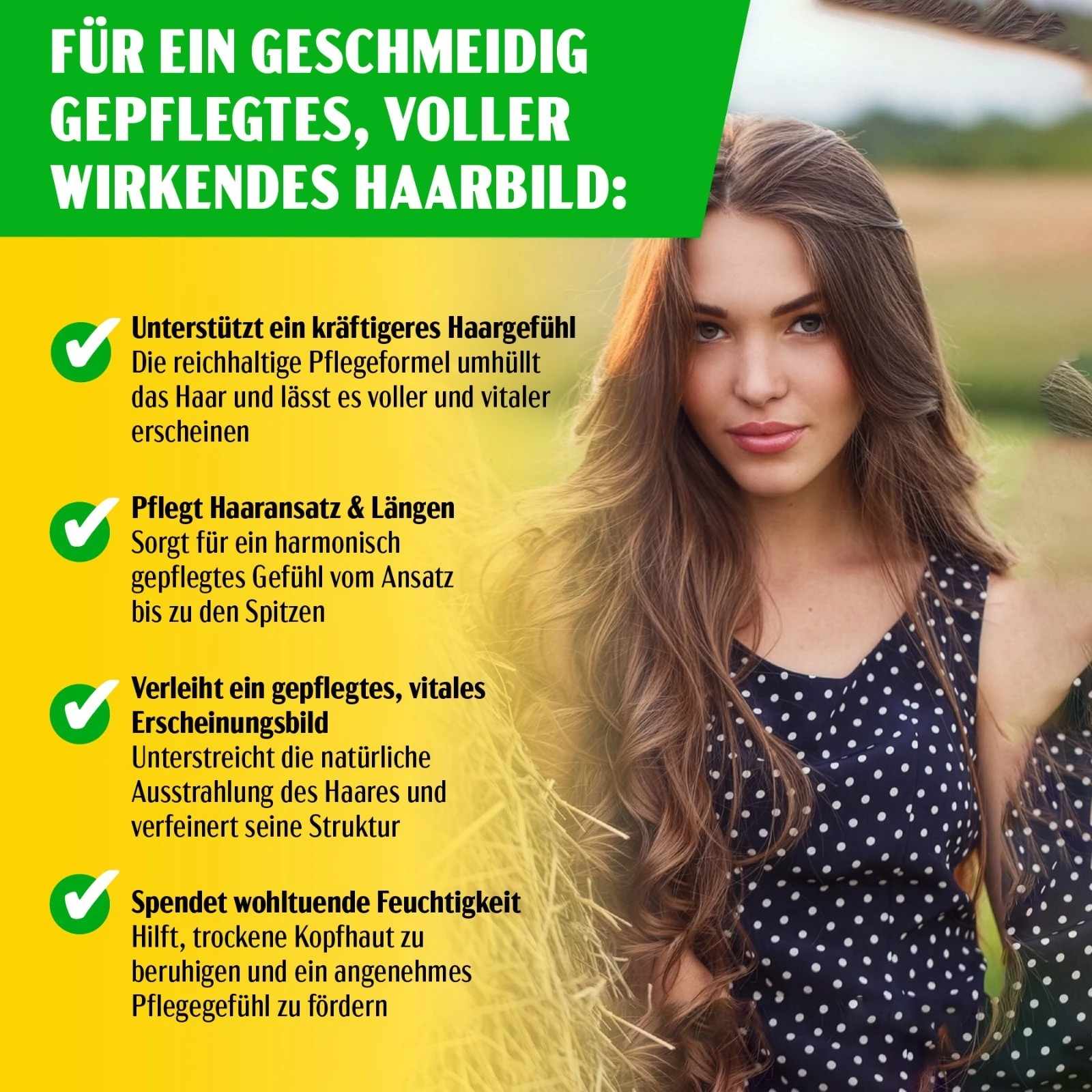 Batana Öl für Haarpflege, Wimpern und Augenbrauen 