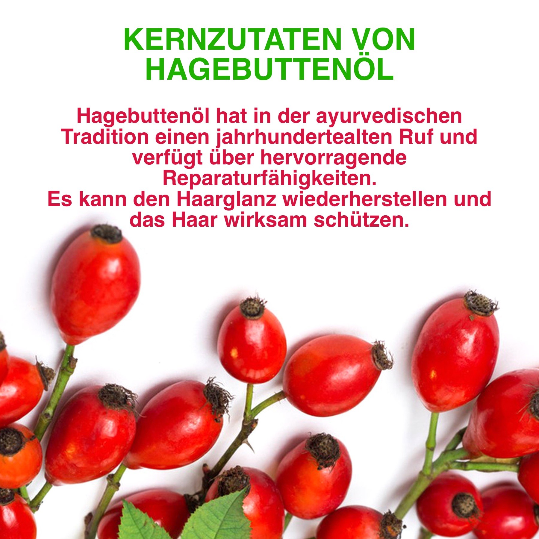 Bio Vegan Haarpflege Hagebuttenöl in Kapseln 