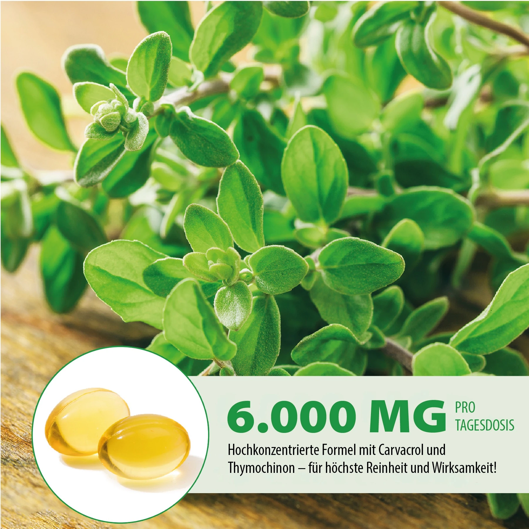 Oregano Öl mit Schwarzkümmelöl 6000 mg 