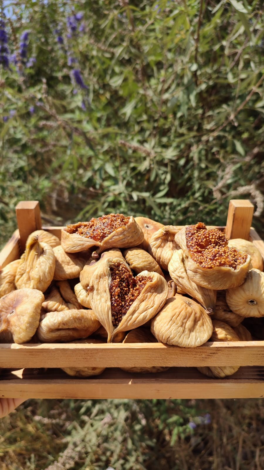 Dried figs