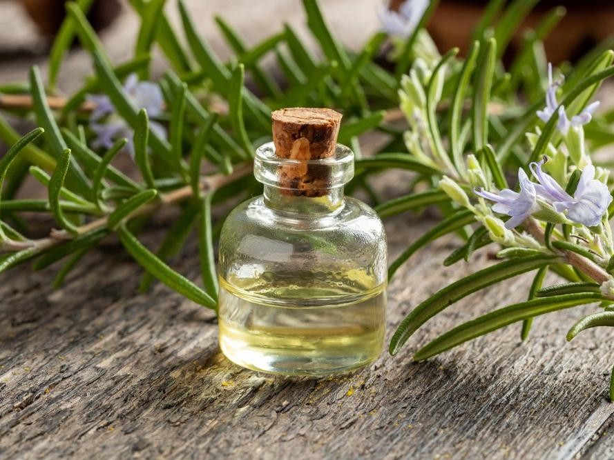 What is Rosemary Oil?