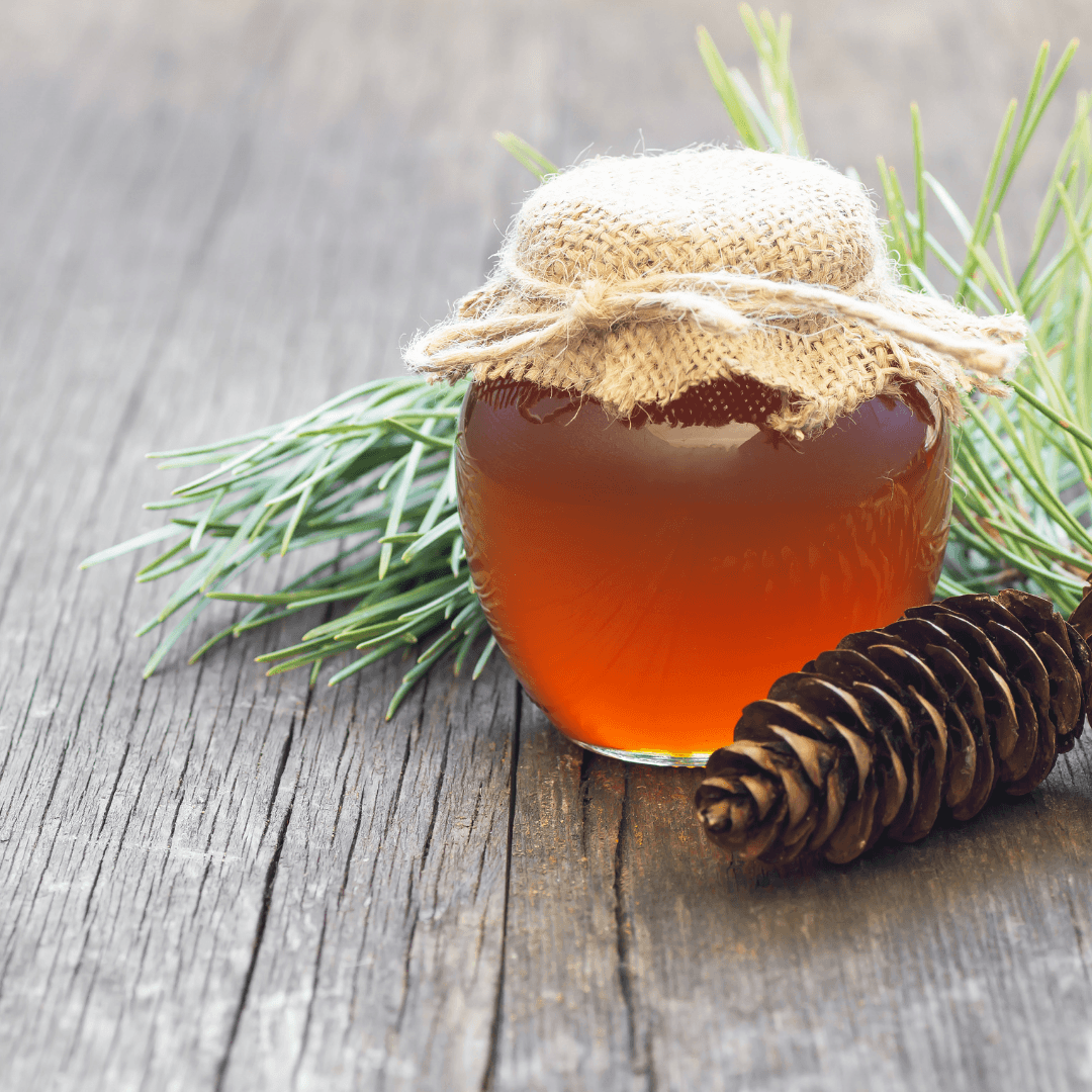 Pine honey from Mugla 750g