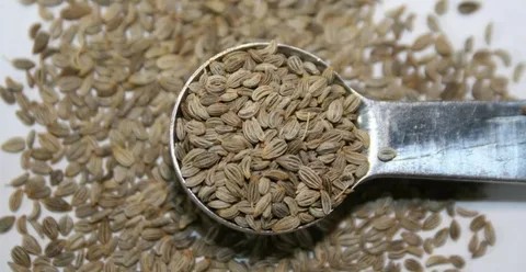What Is Parsley Seed?