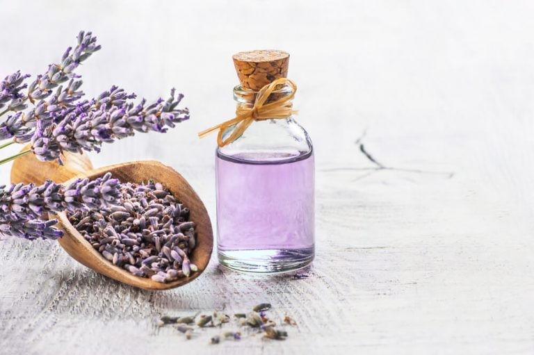 Lavanta Yağı Nedir?