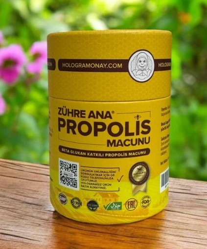 What Are the Benefits of Propolis?