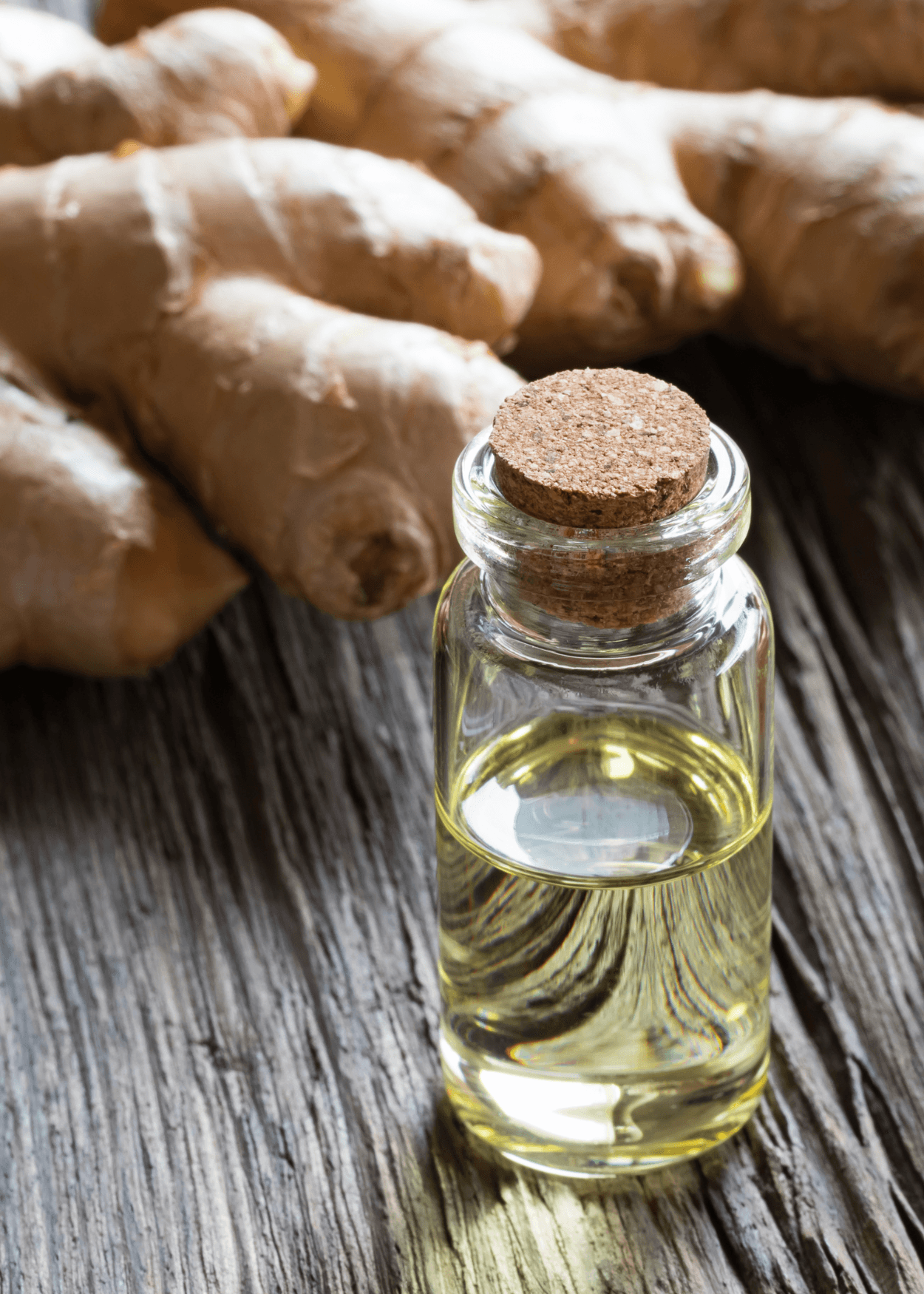 Ginger oil 20ml