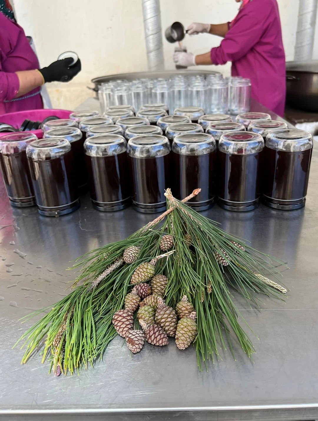Pine cone syrup 750g ( liquid ) (Kozalak Şurubu)