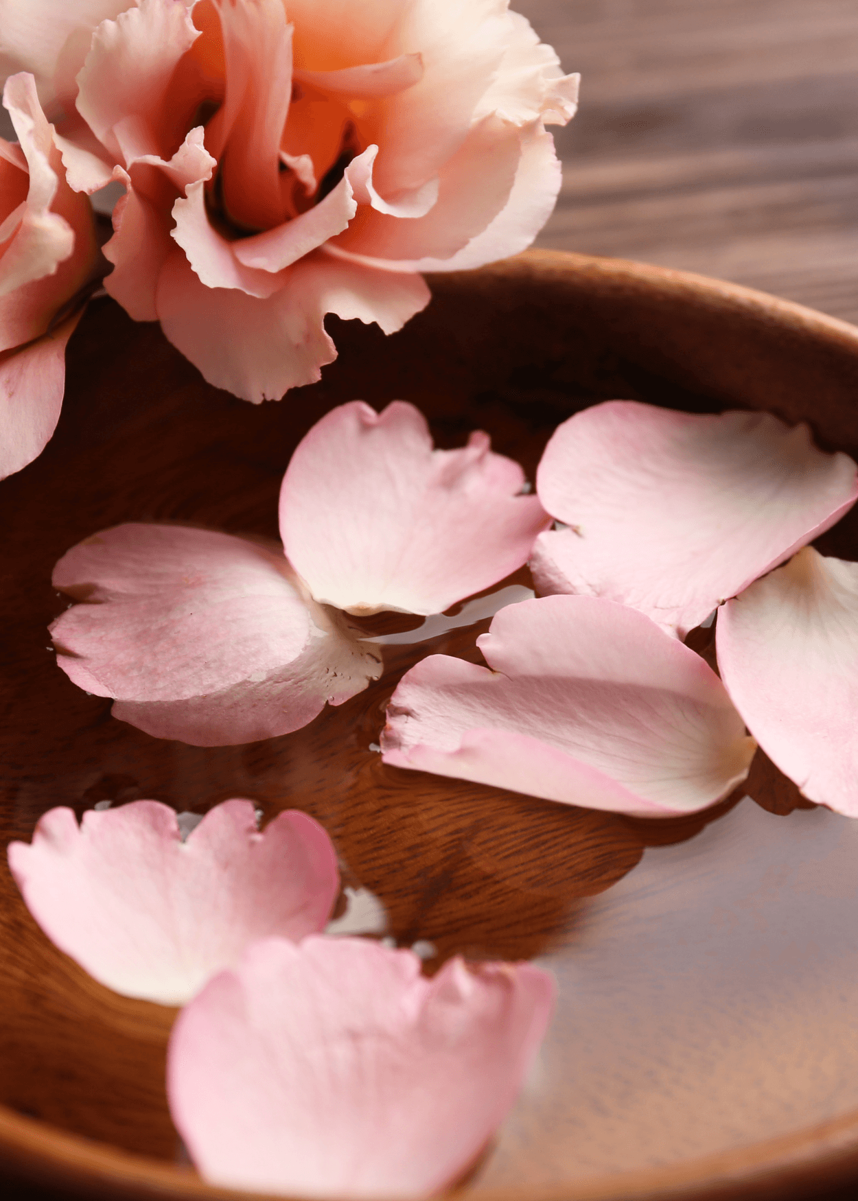 Rose water spray 400ml