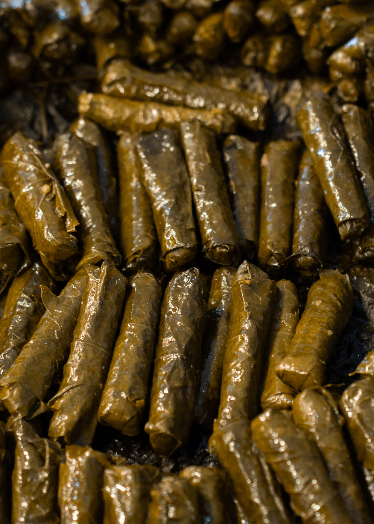 Stuffed Vine Leaves with Olive Oil and Rice 500g