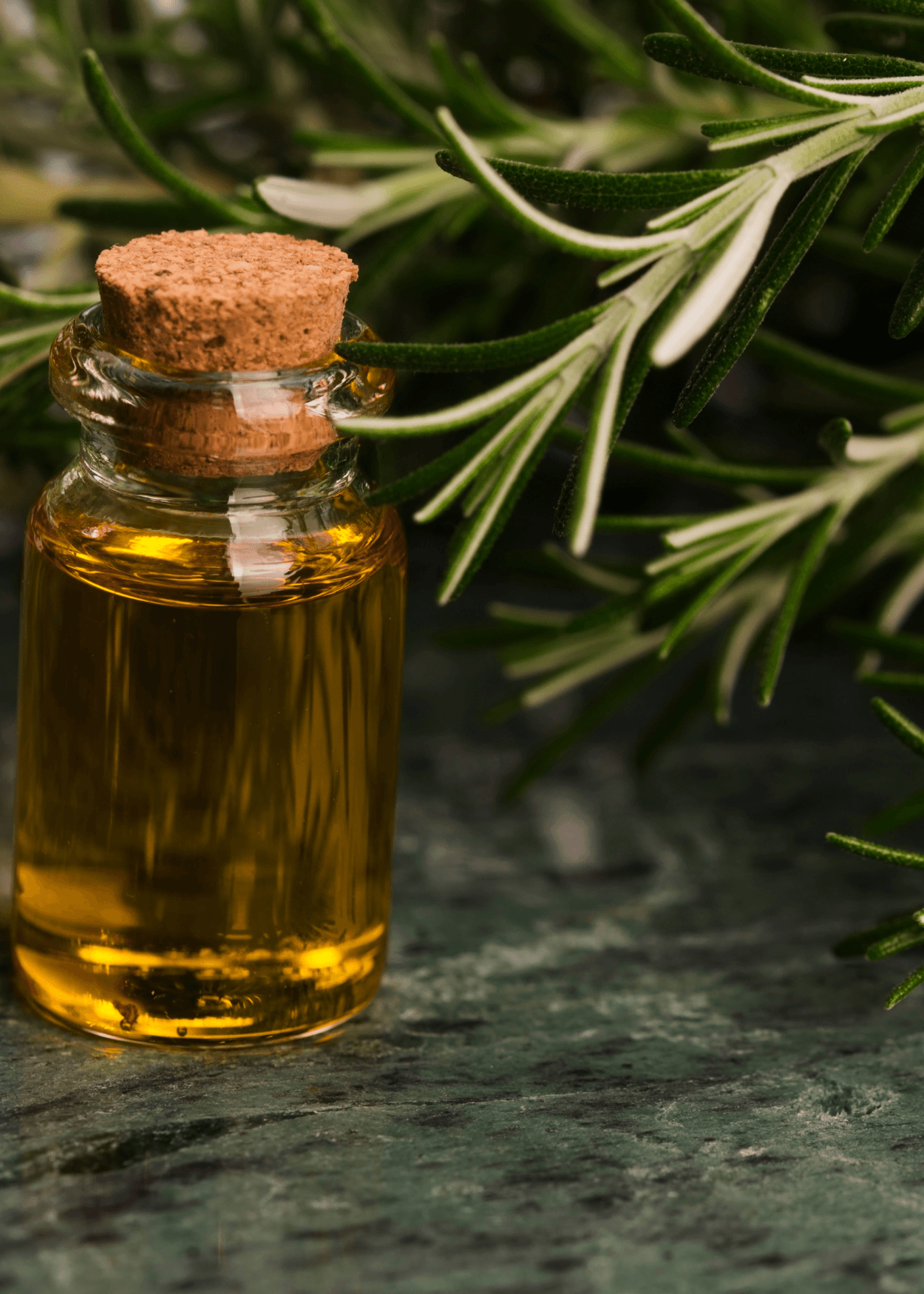 Rosemary Oil 20ml