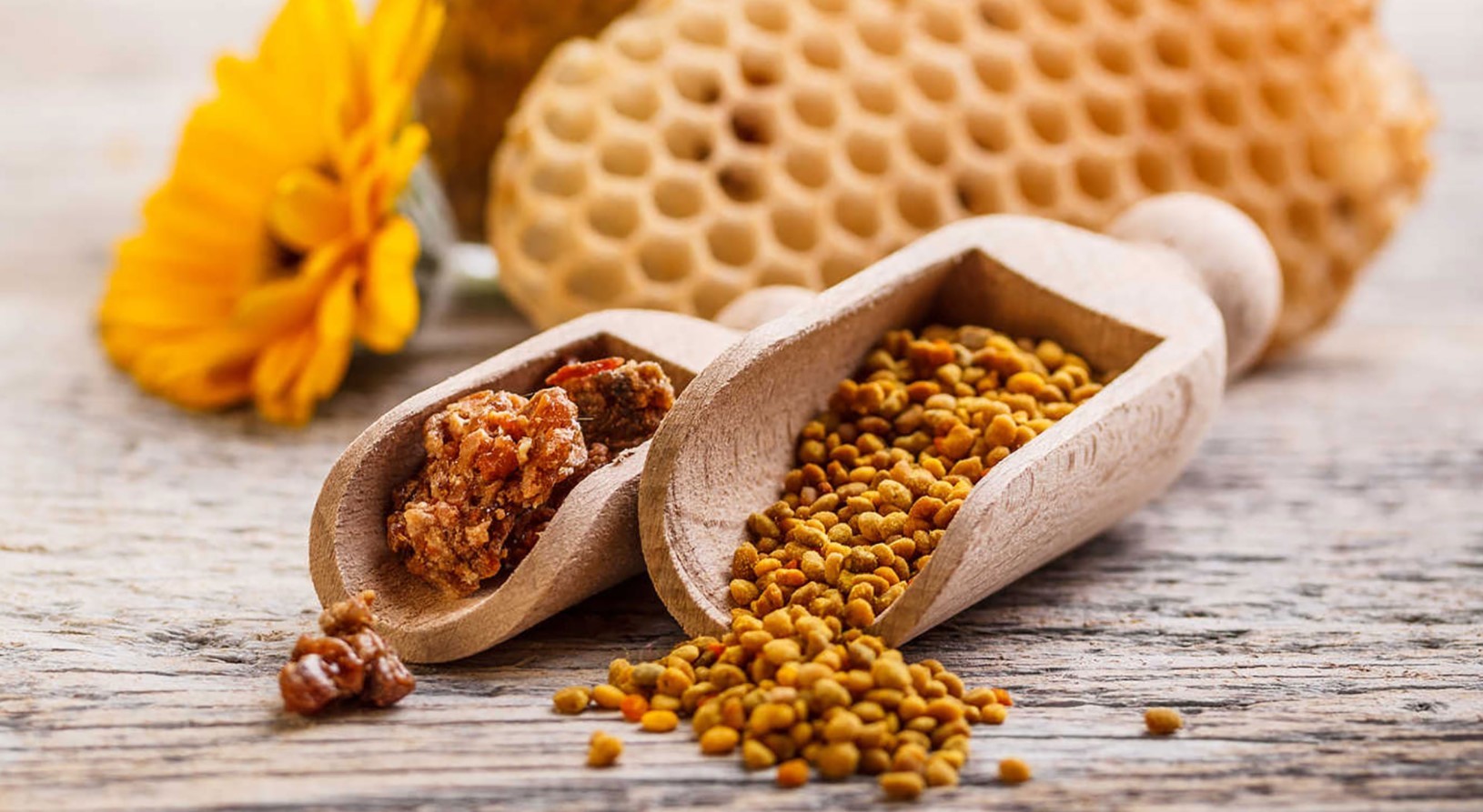 Propolis Nedir?