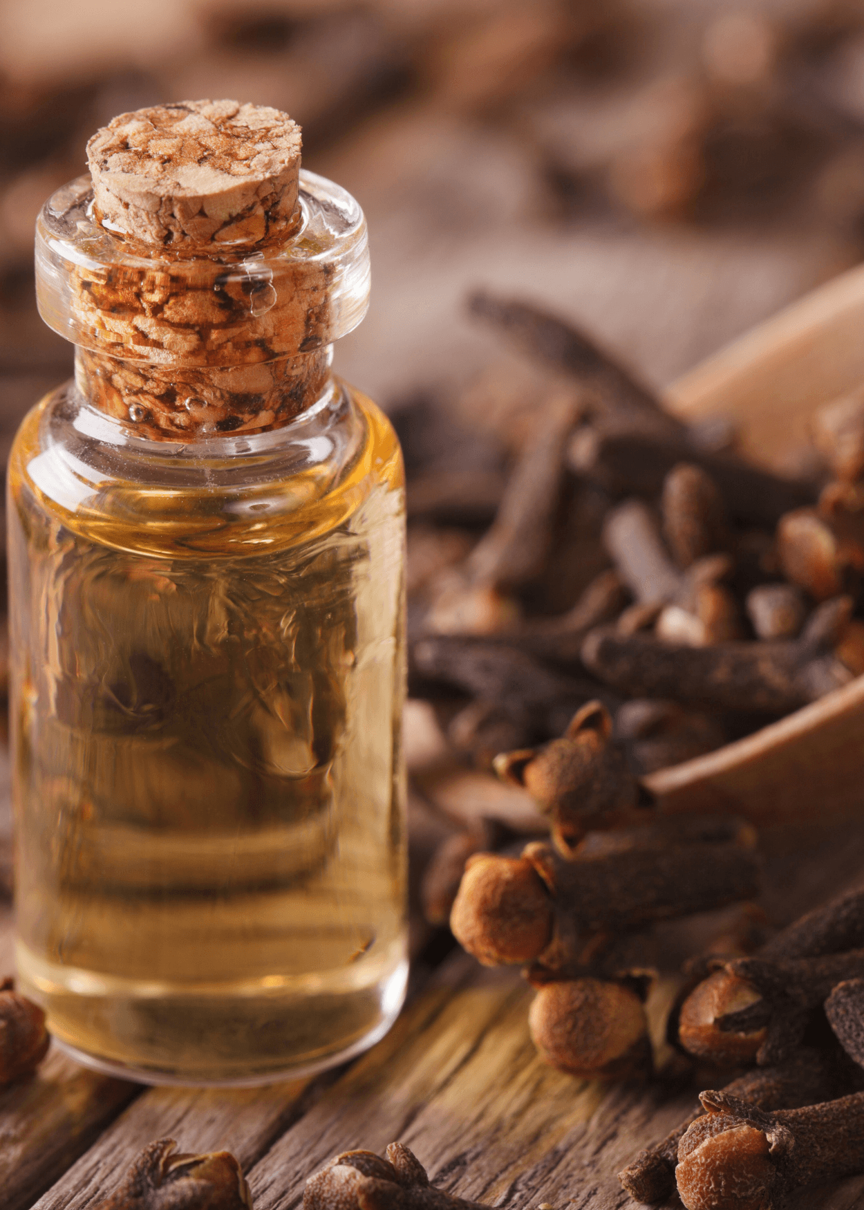 Clove oil 20cc