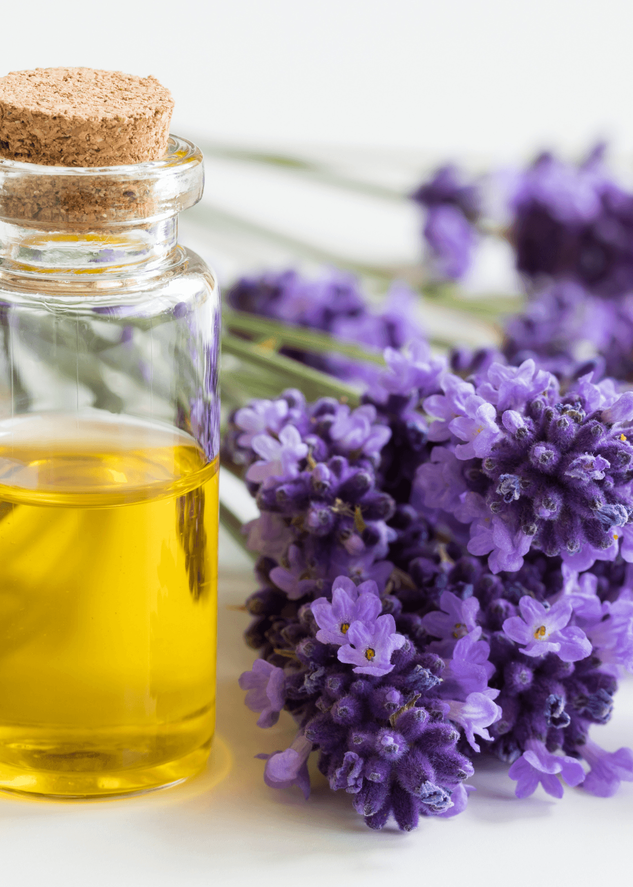 Lavender Oil 20ml