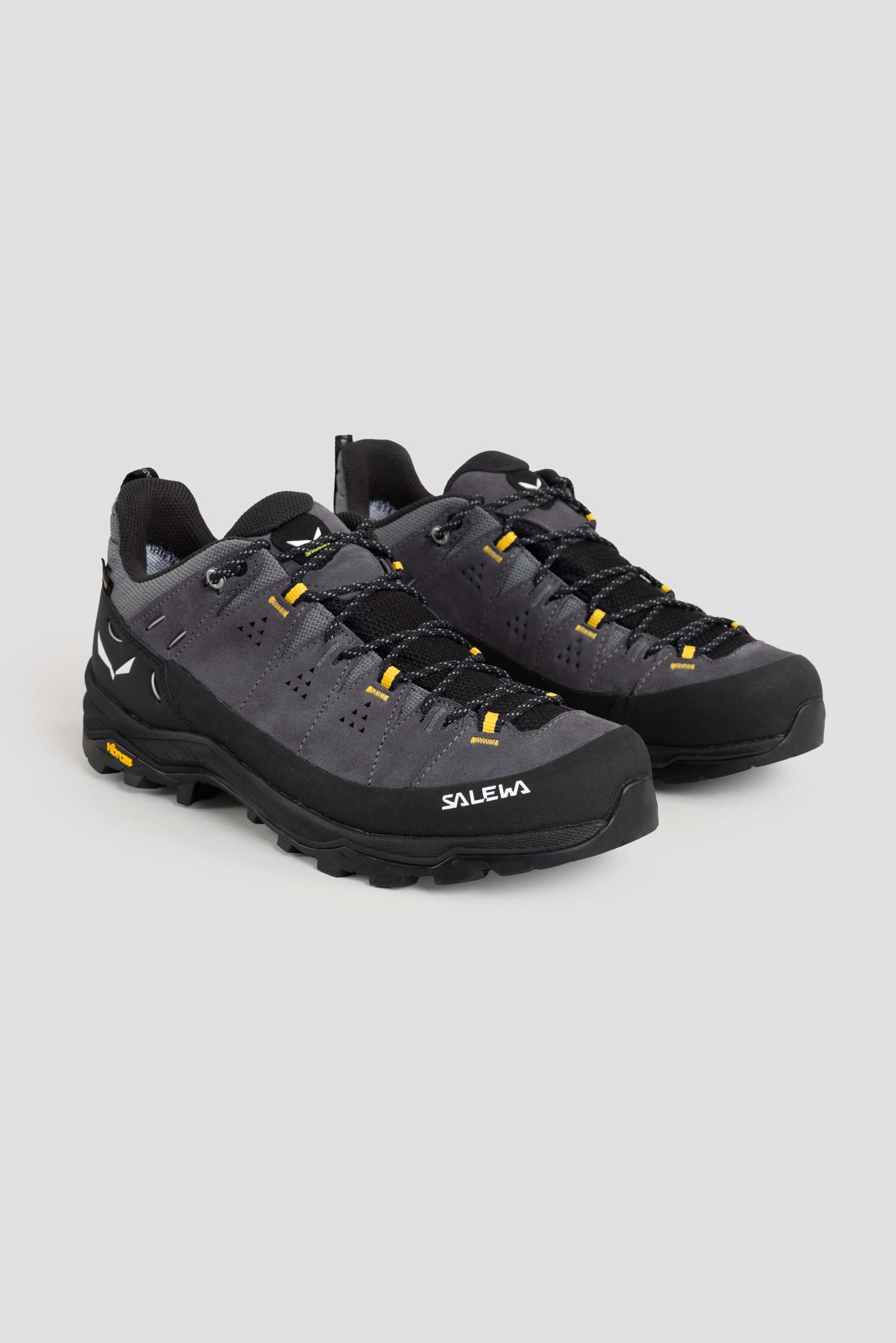 Alp Trainer 2 GTX Onyx/Black