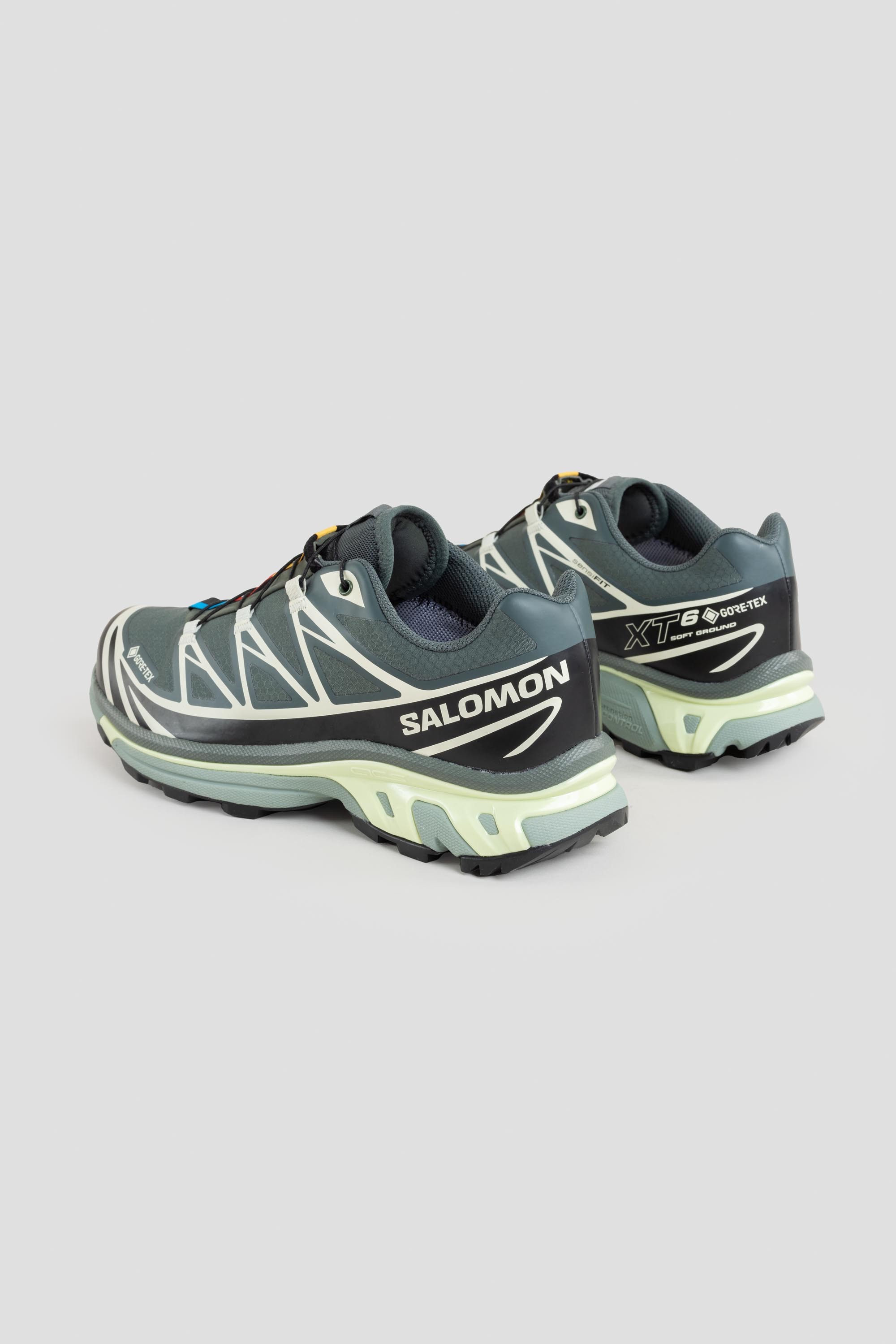 Salomon XT-6 GTX Urban Chic/Black/Lime Cream