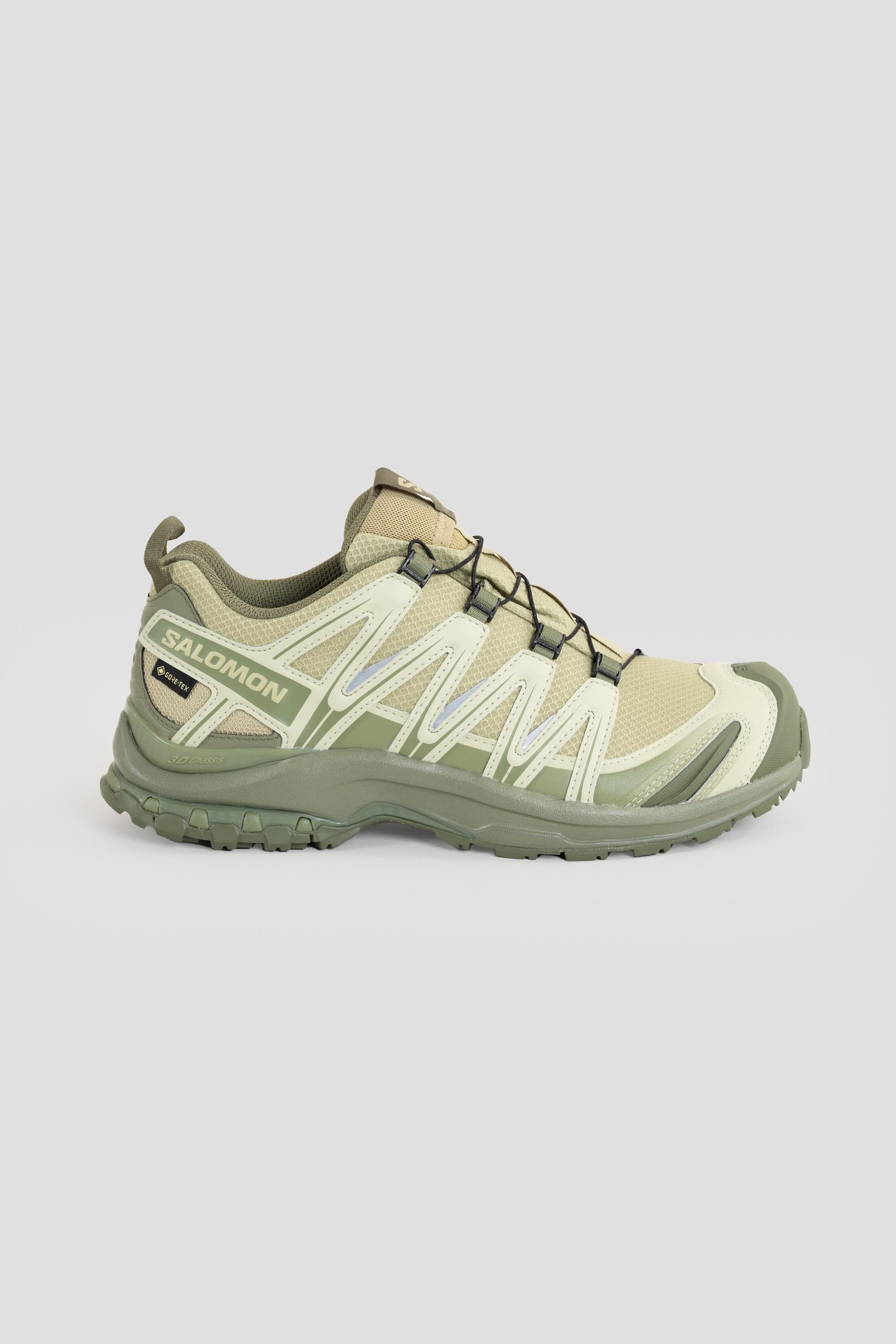 XA Pro 3D GTX Gray Green/Alfalfa/Deep Lichen Green