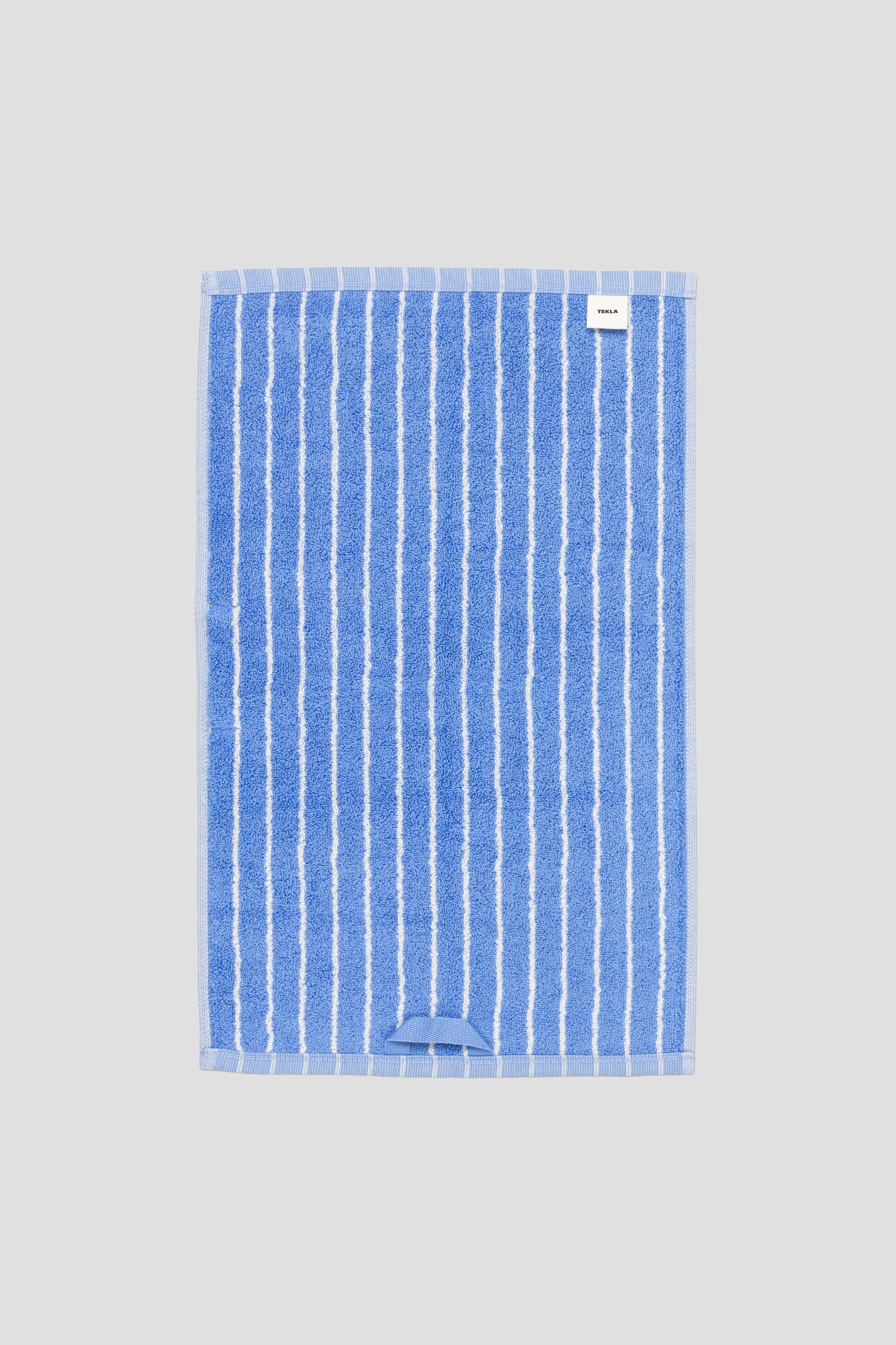 Terry Towel Guest Towel Blue Stripes