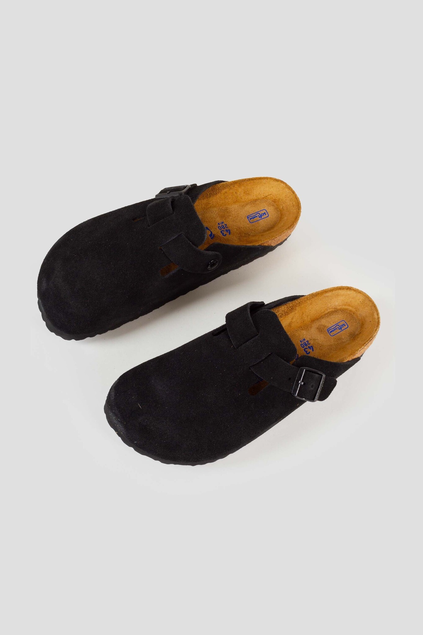 Boston Suede Black