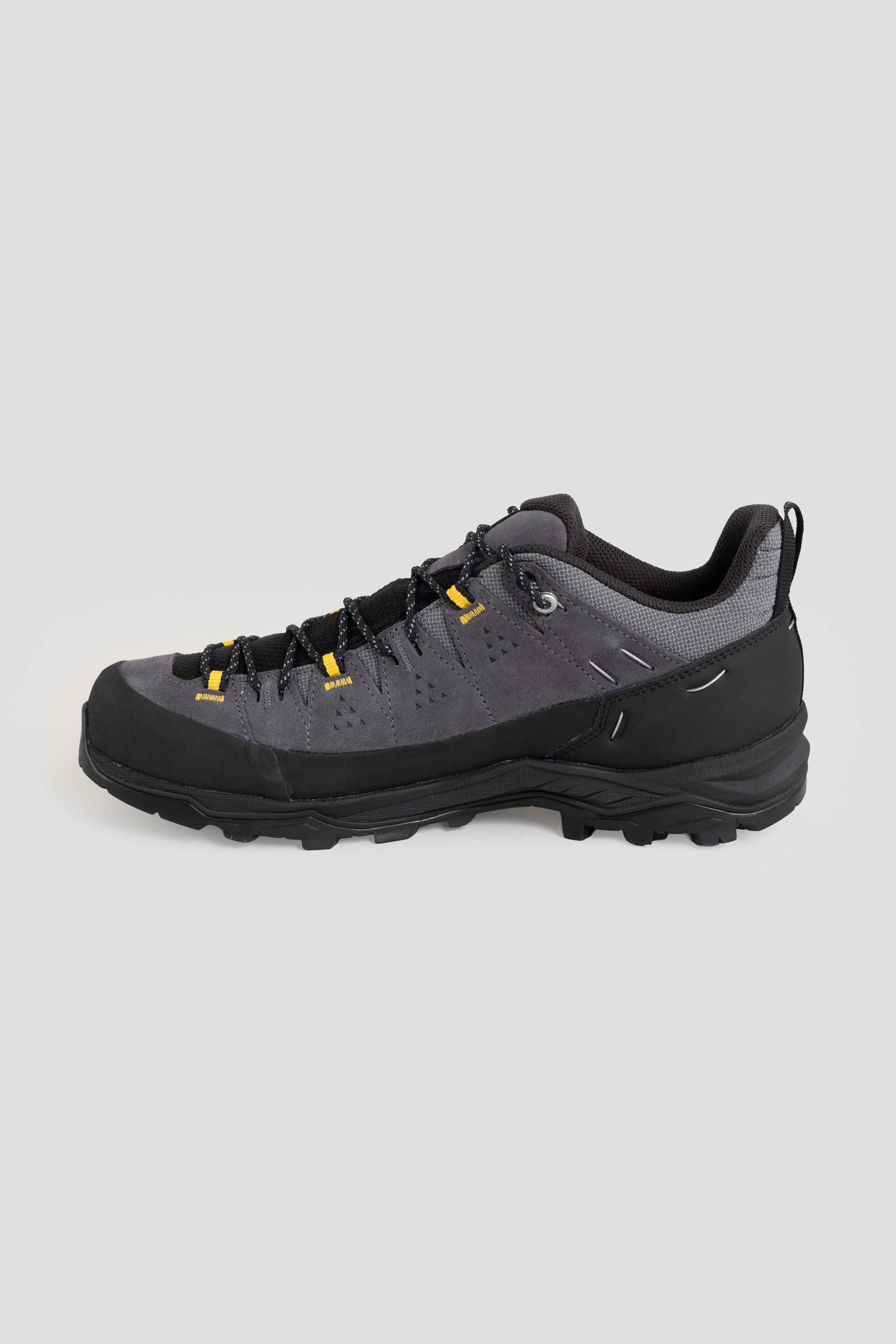 Alp Trainer 2 GTX Onyx/Black