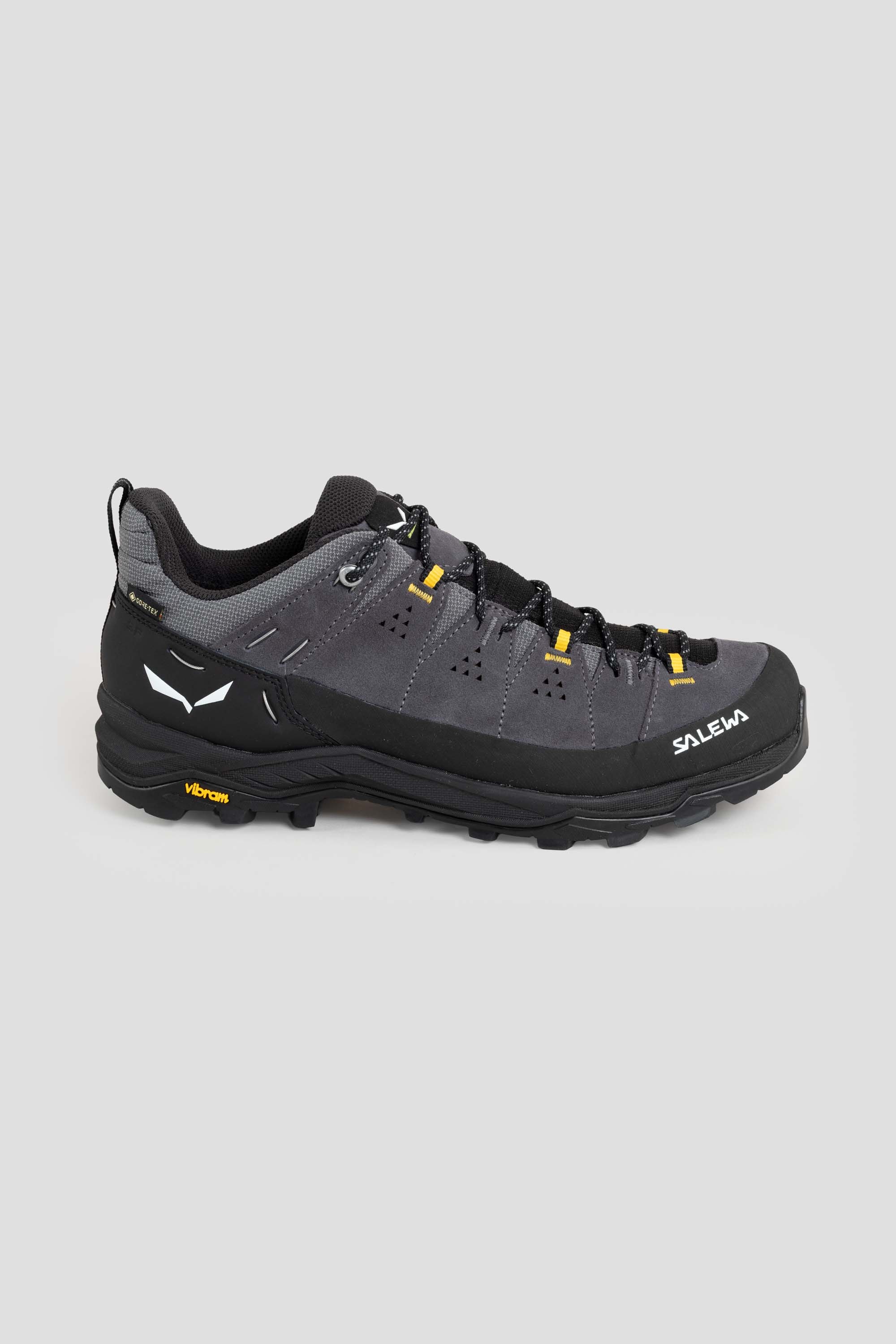 Alp Trainer 2 GTX Onyx/Black