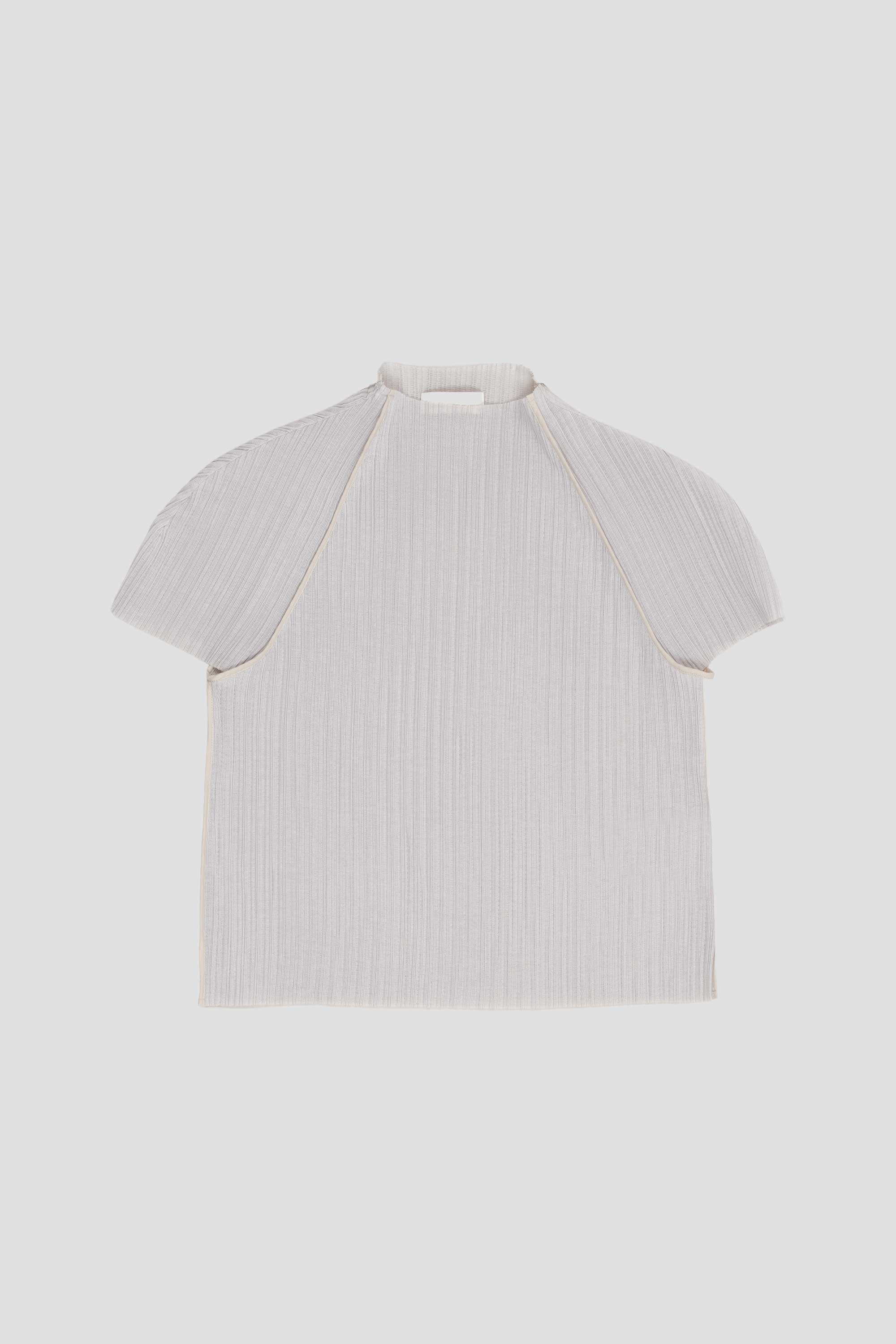 Pleats Raglan Top Beige