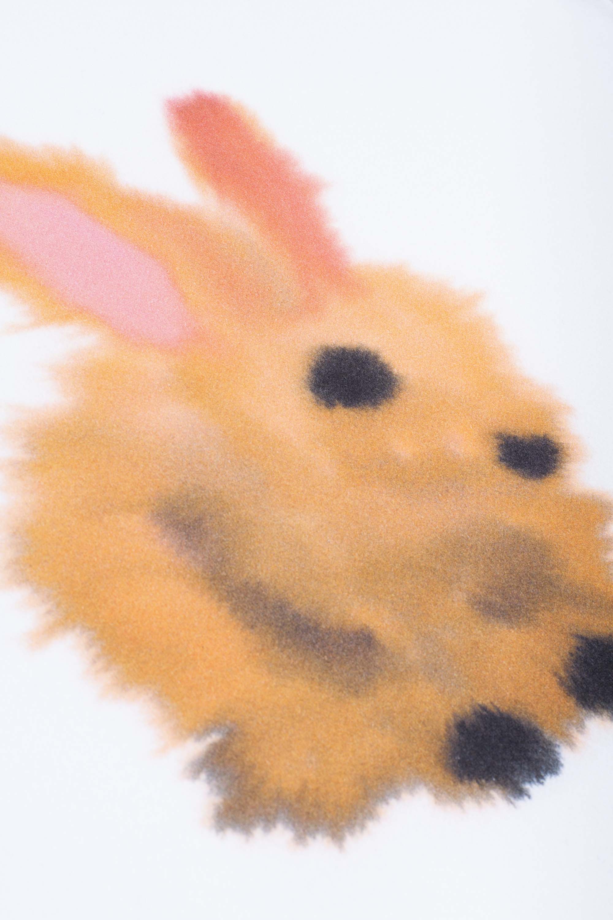 Rabbit Sweater White