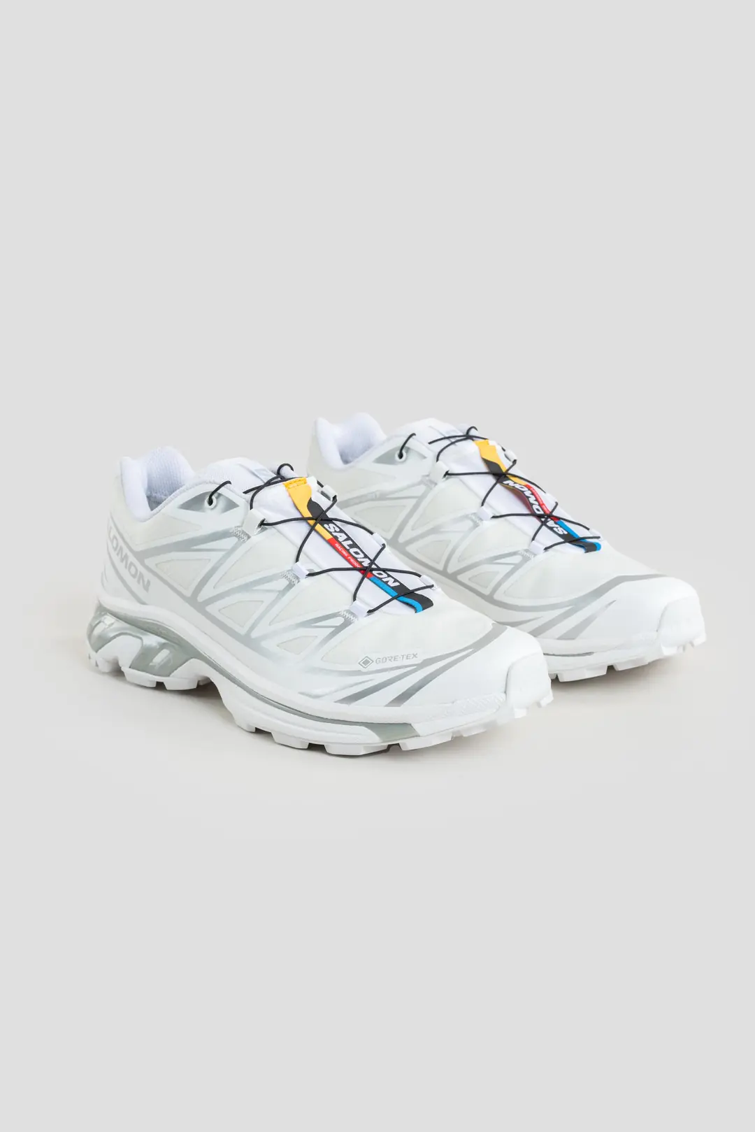 XT-6 GTX White/Silver | Shelter