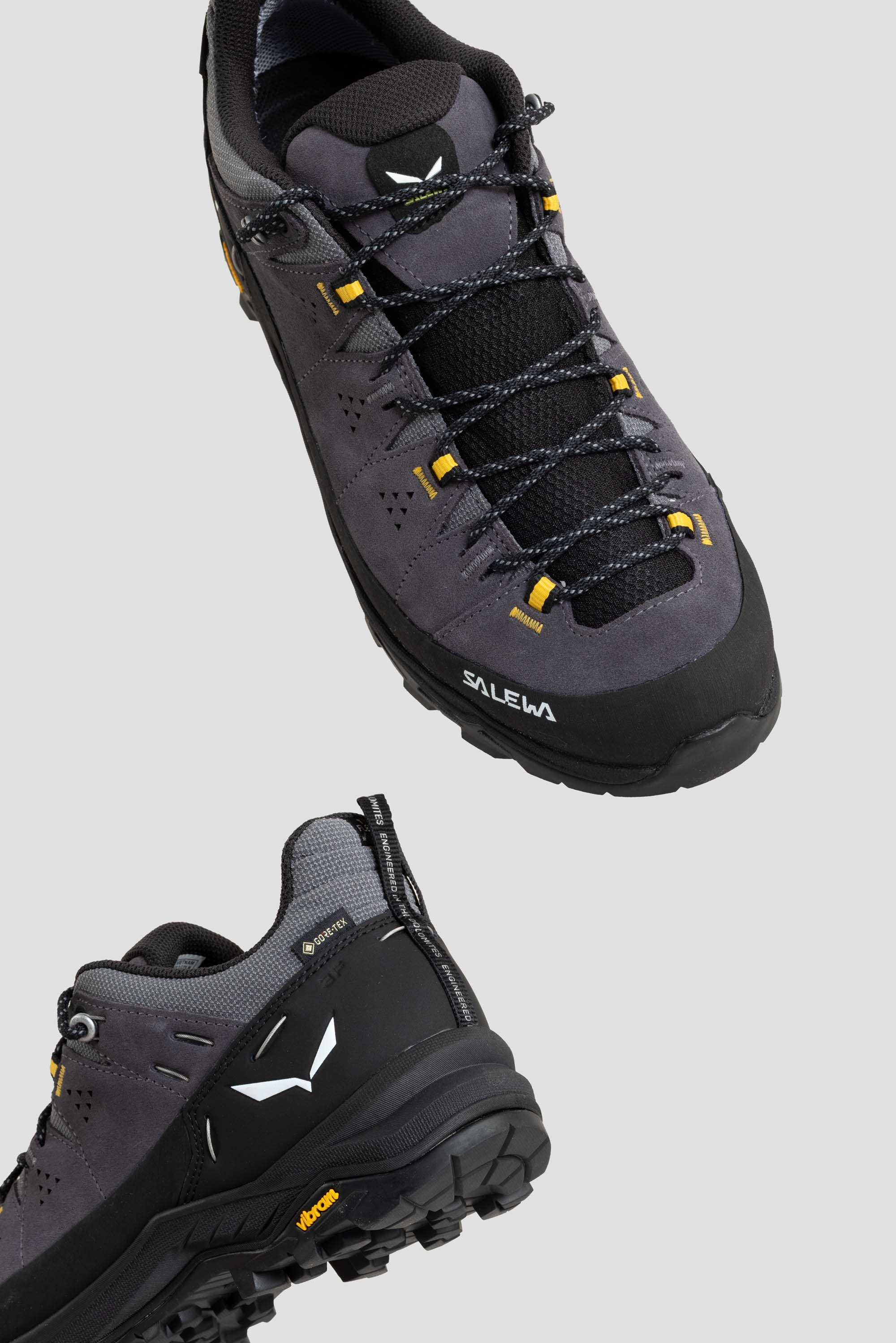 Alp Trainer 2 GTX Onyx/Black