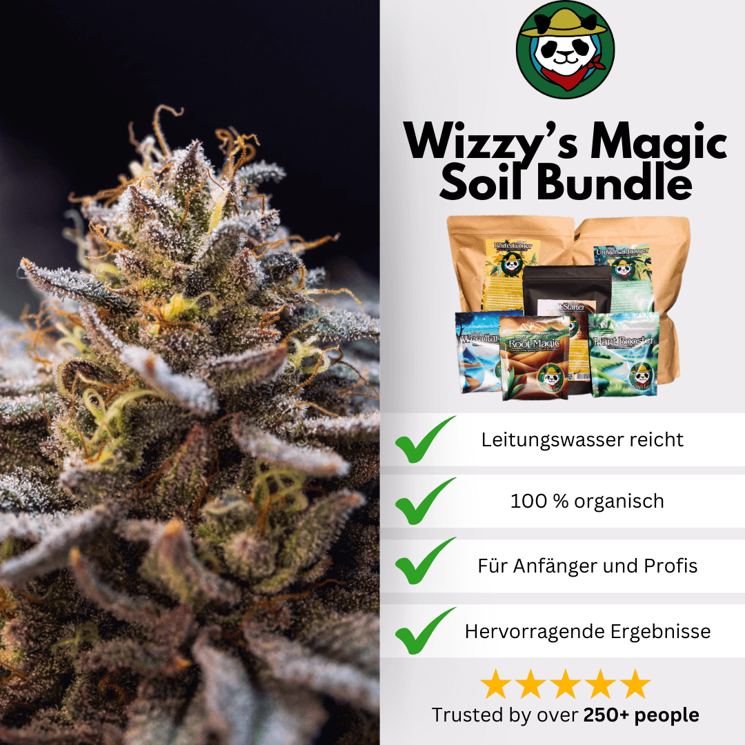 Magic Soil Bundle – Magic Soil zum Selbermischen (aktuell mit Root Magic Ersatz!) für bis zu 180 L Erde