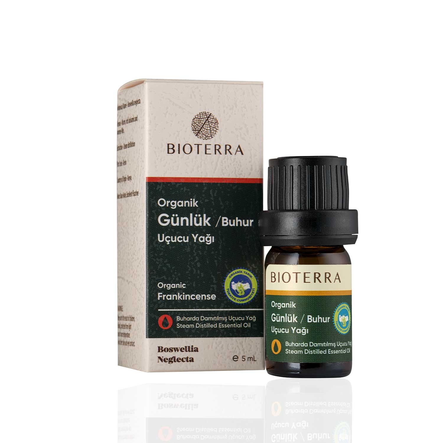 Bioterra Bio Eukalyptus ätherisches Öl 5 ml 