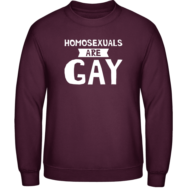 Homo Sexuals Are Gay Sweatshirt 0 image
