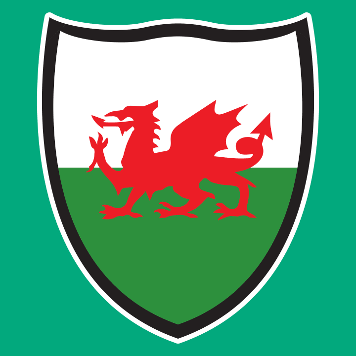 Wales Flag Shield Frauen Kapuzenpulli 0 image