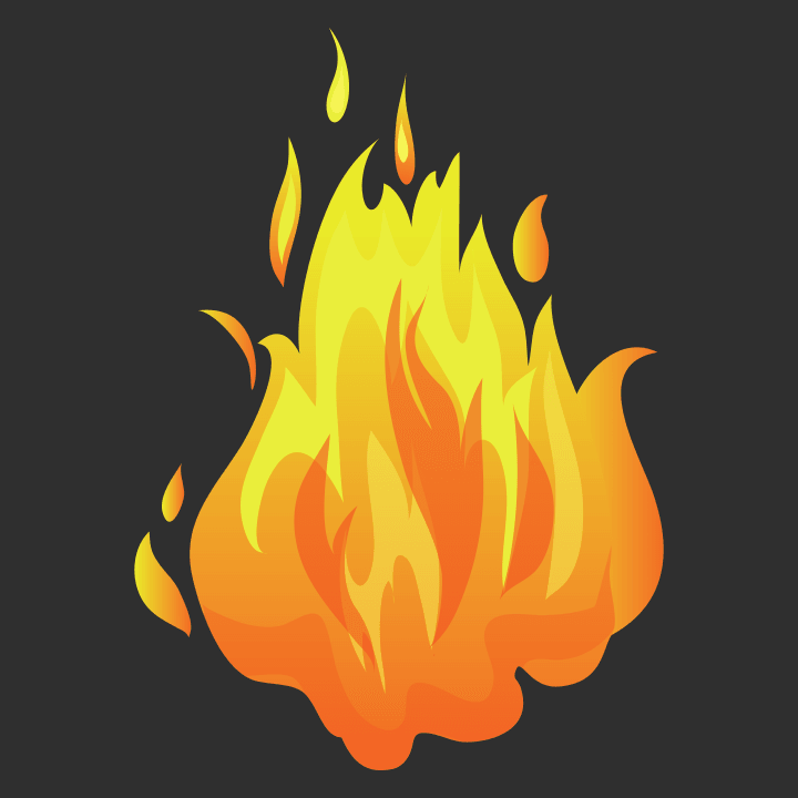 Fire Starts To Burn Vrouwen Lange Mouw Shirt 0 image