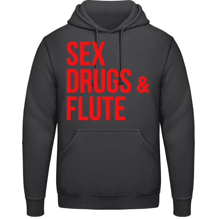 Sex Drugs And Flute Sudadera con capucha contain pic