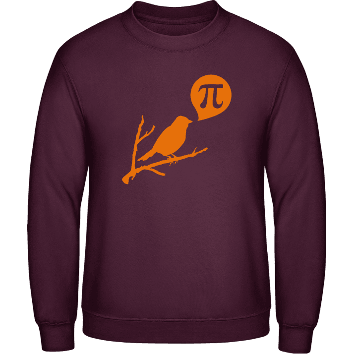 Bird Pi Sweatshirt 0 image