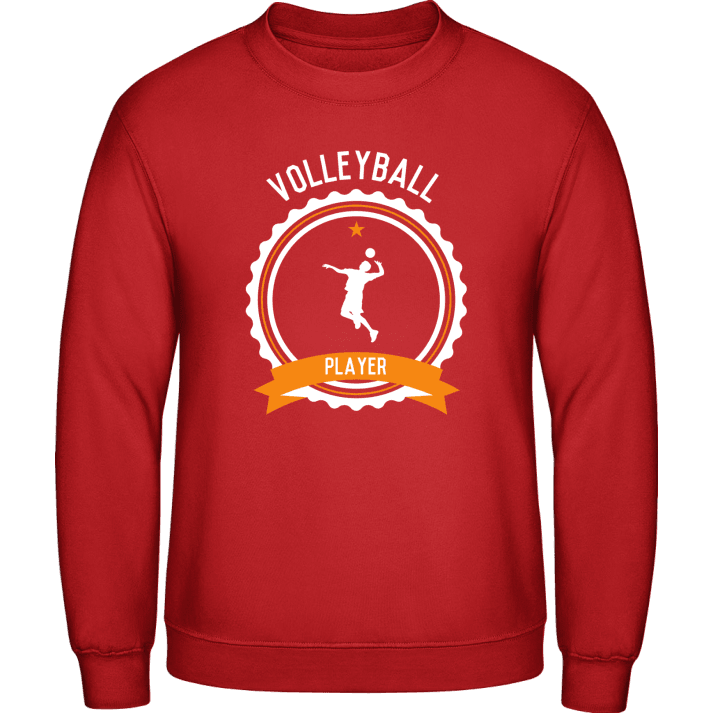 Volleyball Player Sweatshirt contain pic