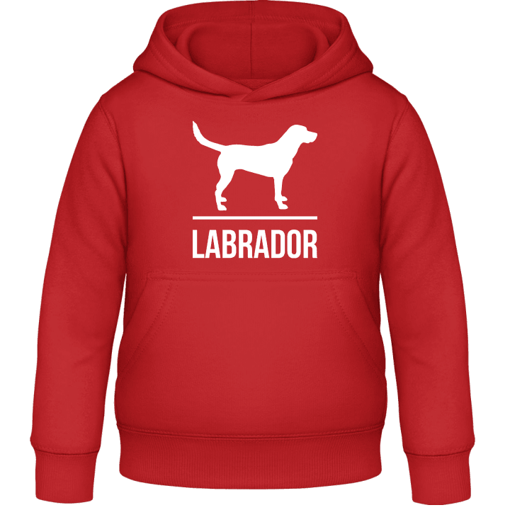 Labrador Barn Hoodie 0 image