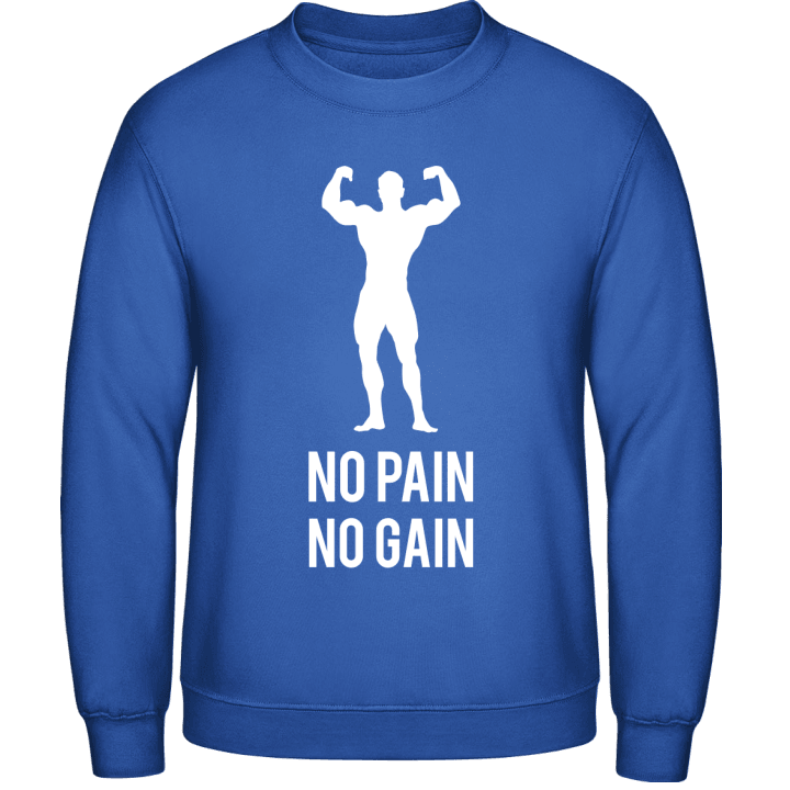 No Pain No Gain Sweatshirt contain pic