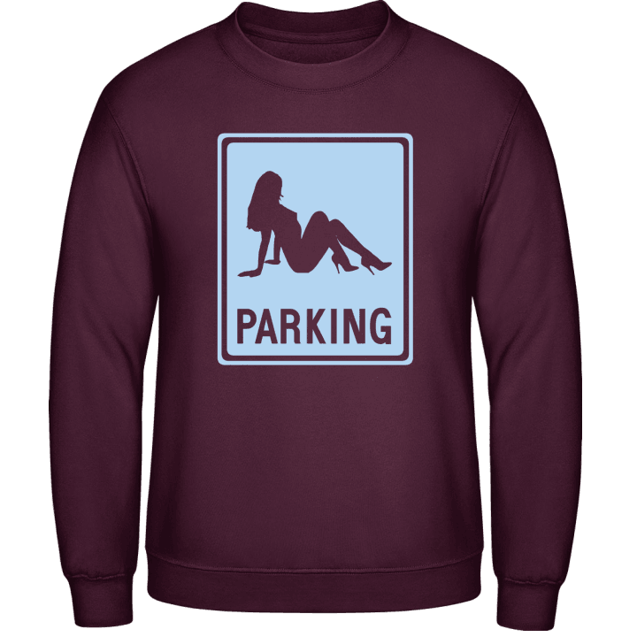 Hottie Parking Sweatshirt contain pic