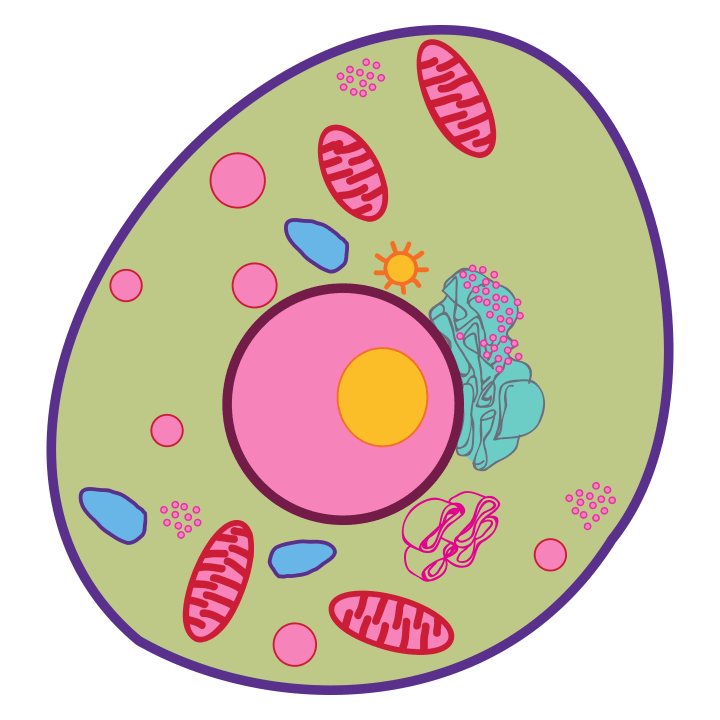 Cell Borsa in tessuto 0 image