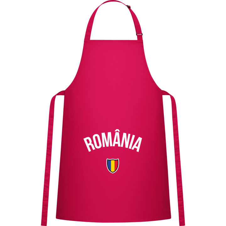 ROMANIA Flag Fan Kitchen Apron 0 image