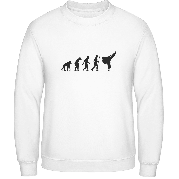 Taekwondo Evolution Sweatshirt 0 image