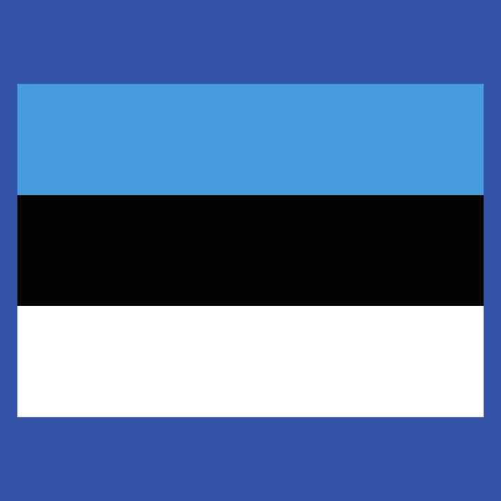 Estland Flag Hettegenser for barn 0 image